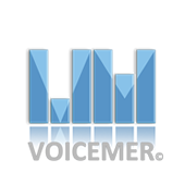 VOICEMER GROUP